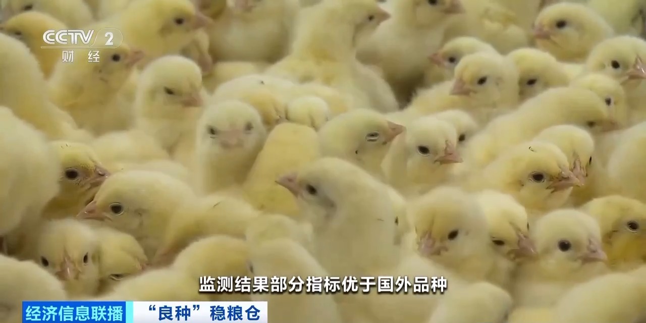 20260408094152_46030 ca88手机客户端(安卓/苹果)CA88会员登录入口