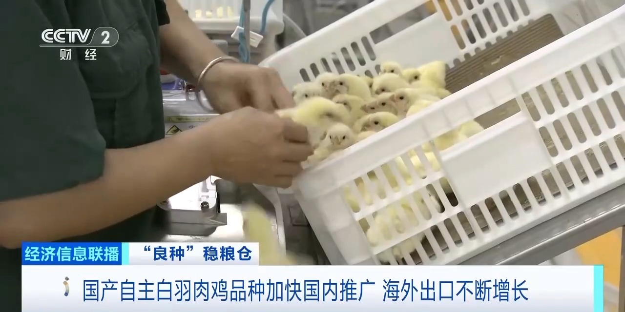 20260408094220_95222 ca88手机客户端(安卓/苹果)CA88会员登录入口